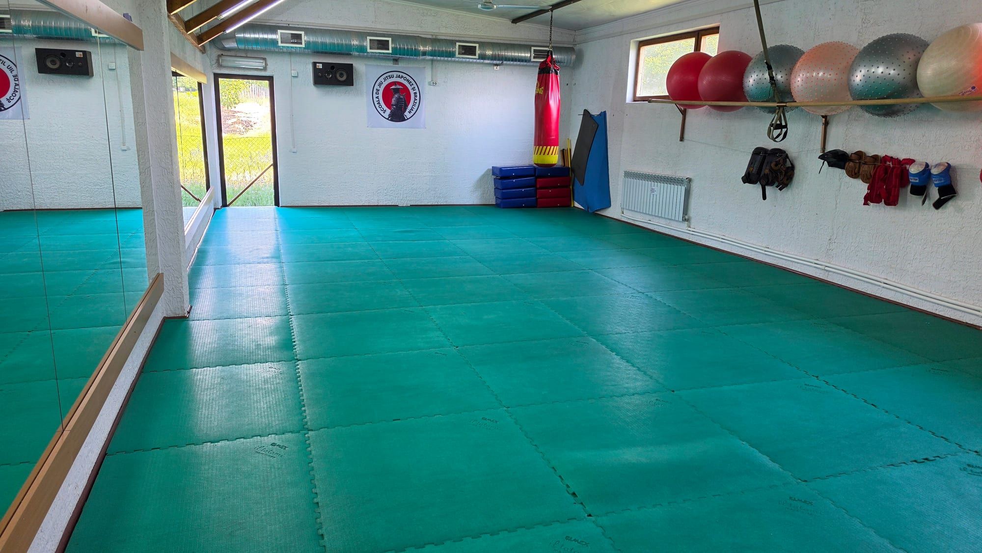 Dojo Șoldănești cu tatami verde, str. Parcului 10