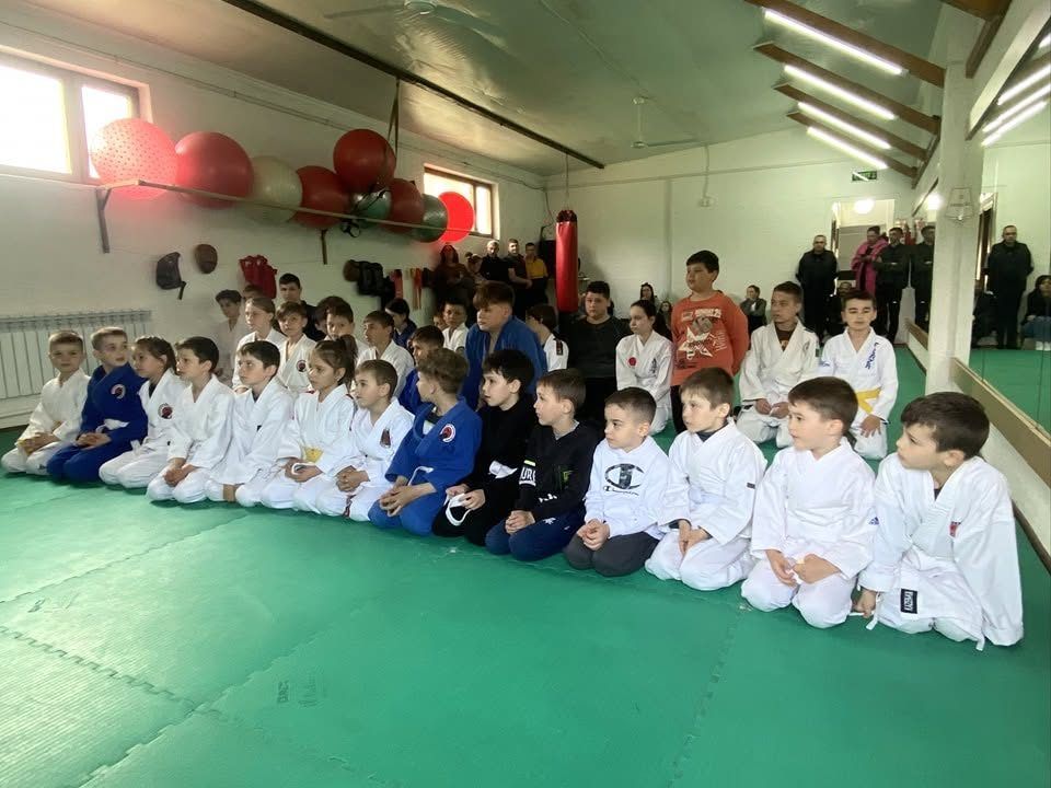 Grupa de copii la Dojo Șoldănești